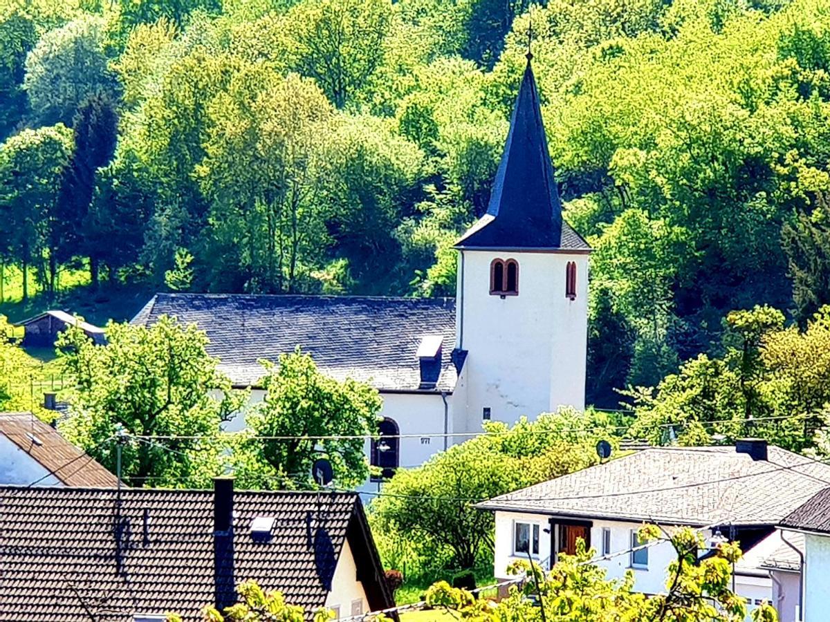 River Mosel Holiday Homes, Meerfeld Studio With A Lake View Екстериор снимка