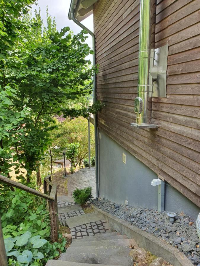 River Mosel Holiday Homes, Meerfeld Studio With A Lake View Екстериор снимка
