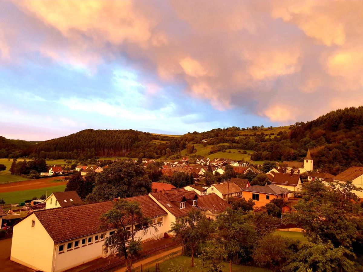 River Mosel Holiday Homes, Meerfeld Studio With A Lake View Екстериор снимка