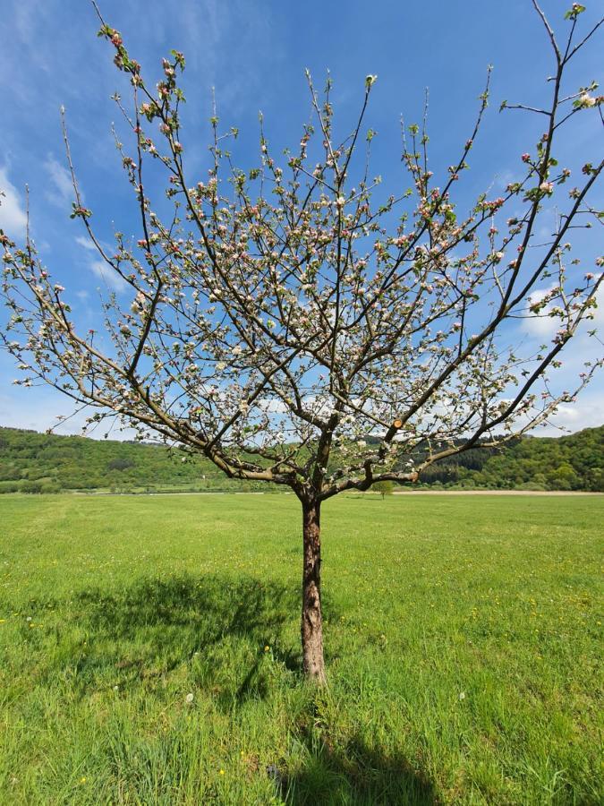 River Mosel Holiday Homes, Meerfeld Studio With A Lake View Екстериор снимка