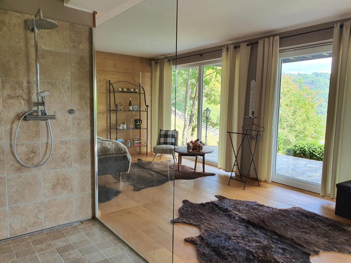 River Mosel Holiday Homes, Meerfeld Studio With A Lake View Екстериор снимка