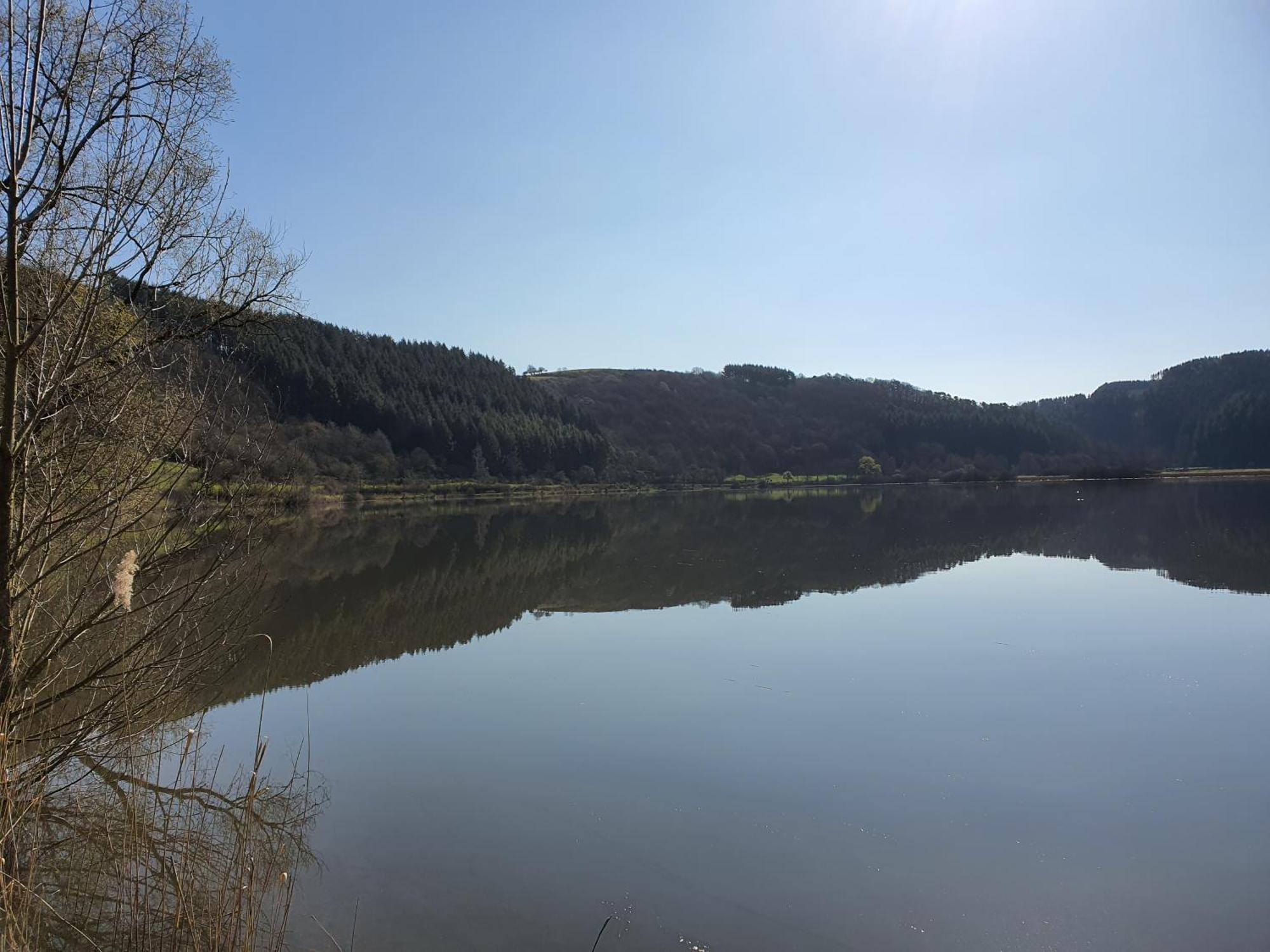River Mosel Holiday Homes, Meerfeld Studio With A Lake View Екстериор снимка