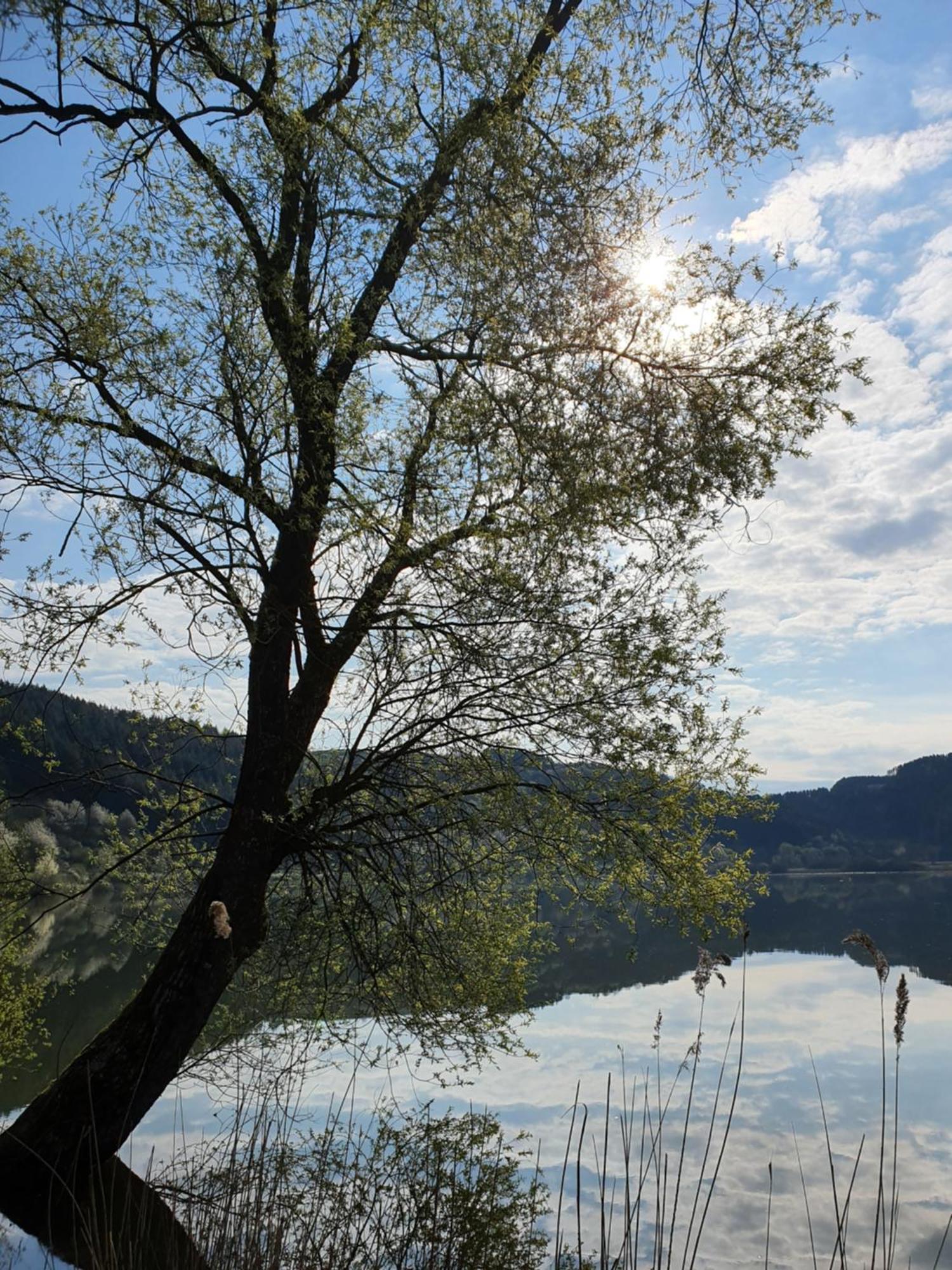River Mosel Holiday Homes, Meerfeld Studio With A Lake View Екстериор снимка