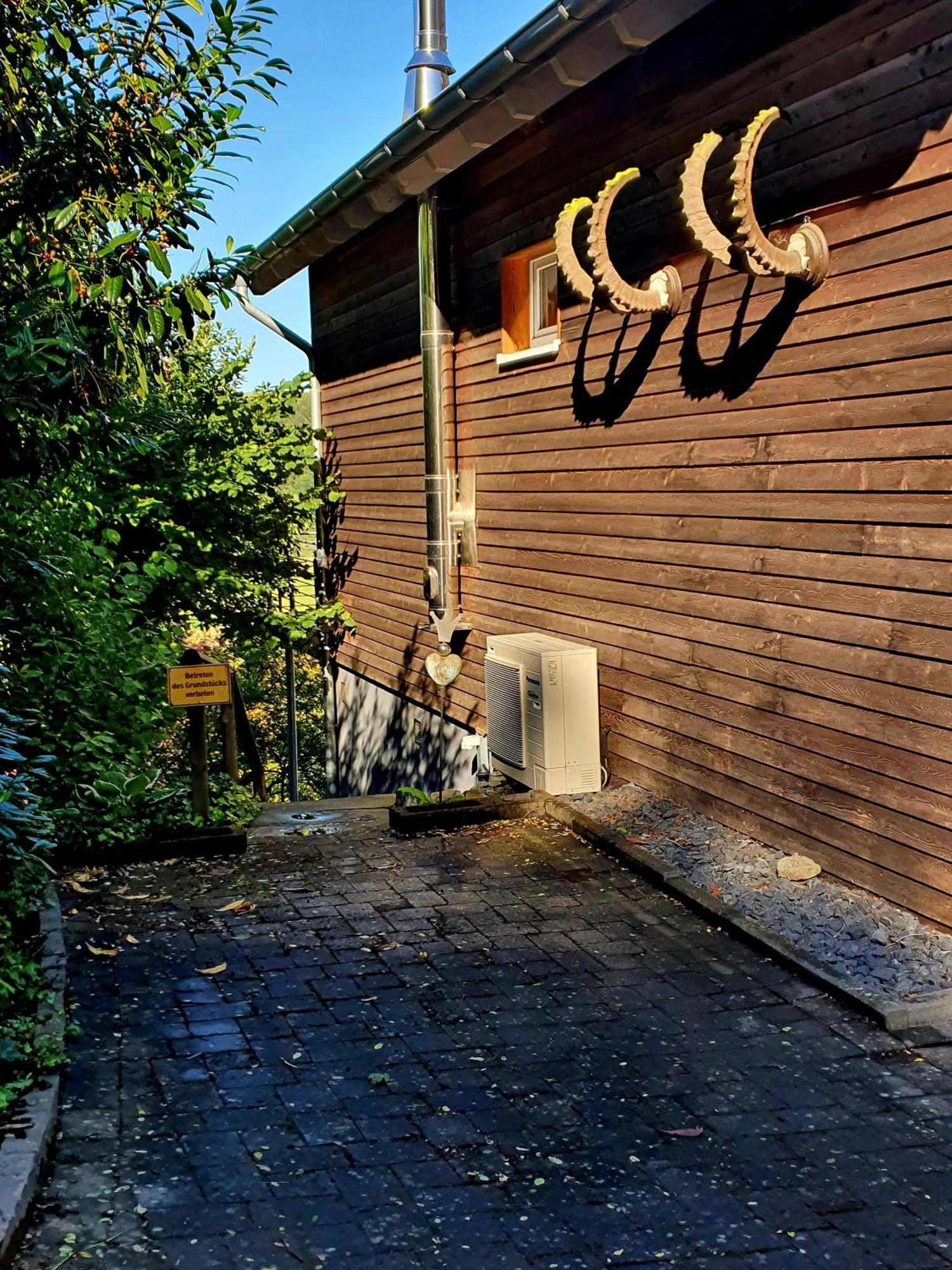 River Mosel Holiday Homes, Meerfeld Studio With A Lake View Екстериор снимка