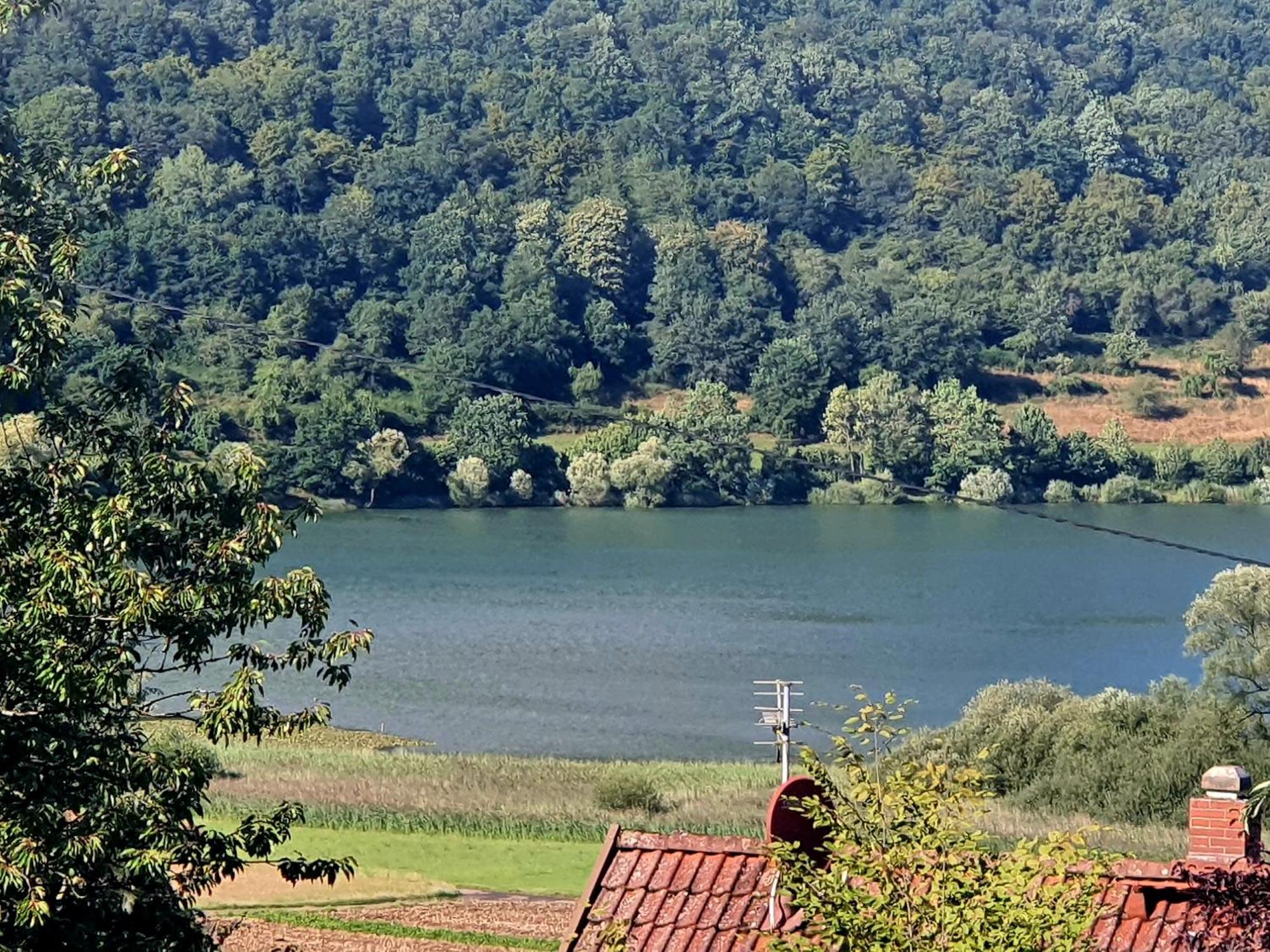 River Mosel Holiday Homes, Meerfeld Studio With A Lake View Екстериор снимка